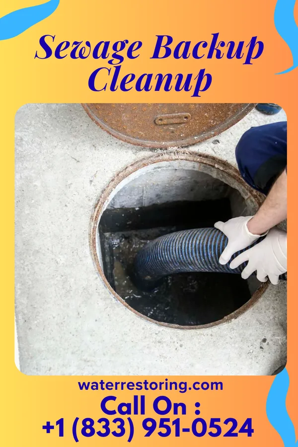 Sewage Backup Cleanup in Lubbock, TX